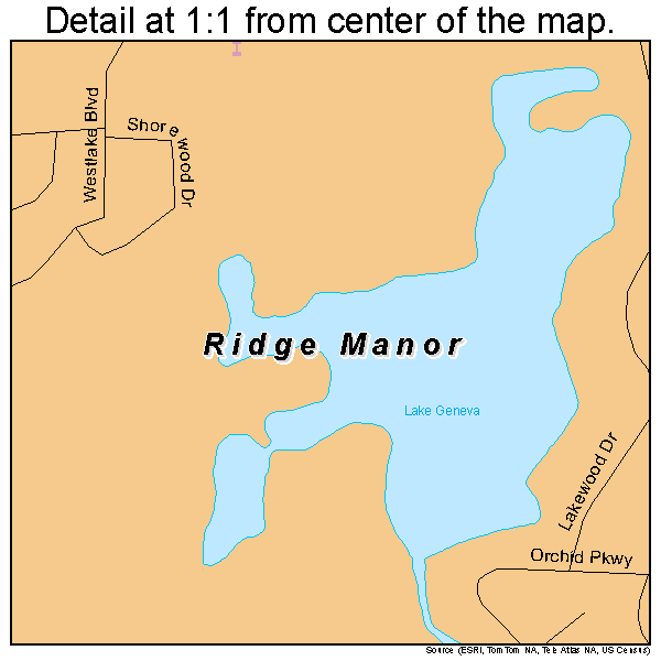 Ridge Manor, Florida road map detail