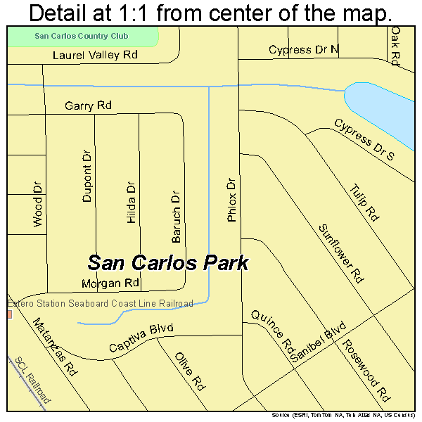 San Carlos Park, Florida road map detail