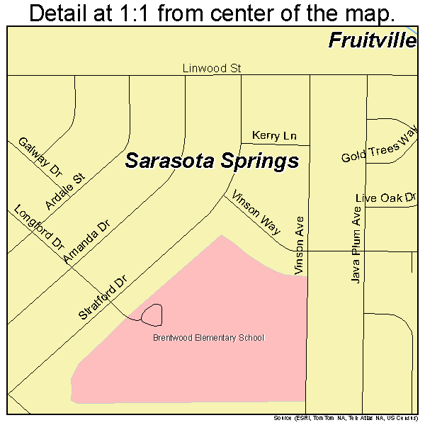 Sarasota Springs, Florida road map detail