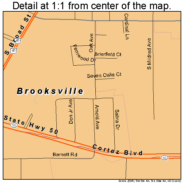 South Brooksville, Florida road map detail