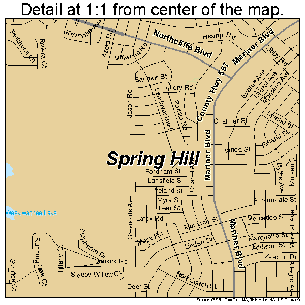 Spring Hill, Florida road map detail