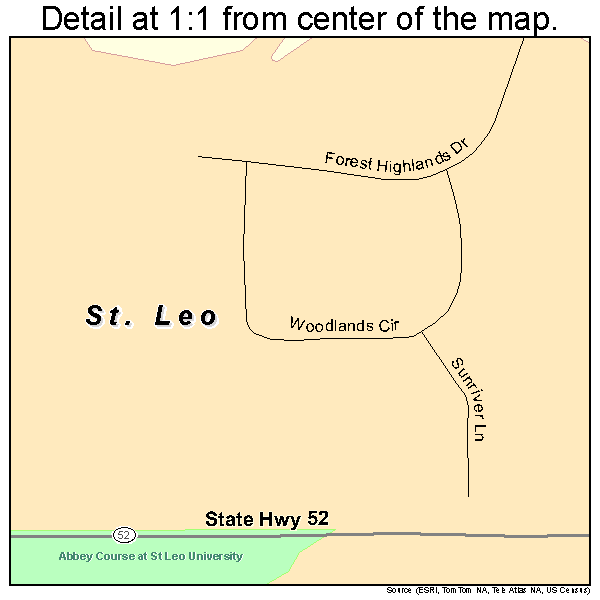 St. Leo, Florida road map detail