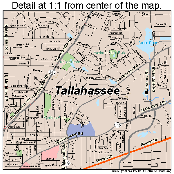 Tallahassee, Florida road map detail