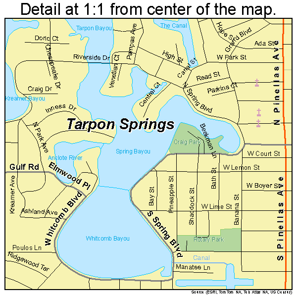 Tarpon Springs, Florida road map detail