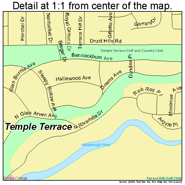 Temple Terrace, Florida road map detail