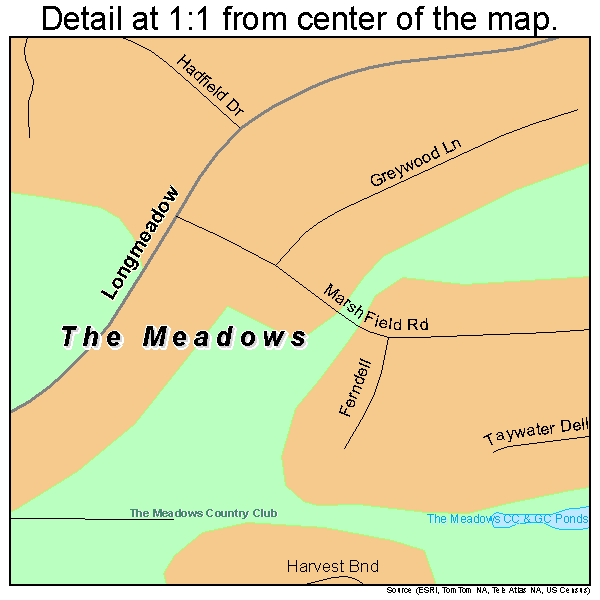 The Meadows, Florida road map detail