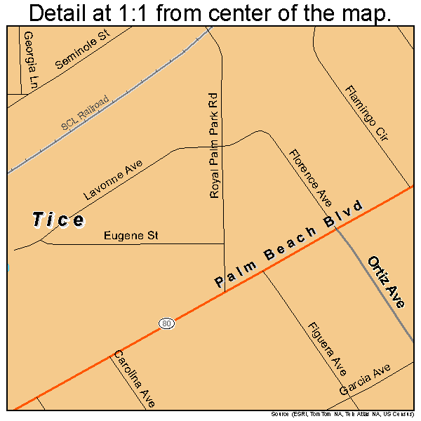 Tice, Florida road map detail