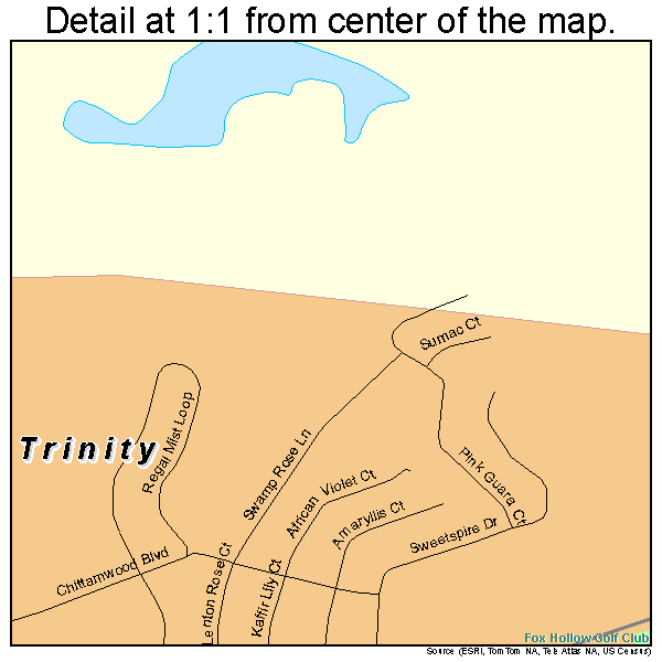 Trinity, Florida road map detail