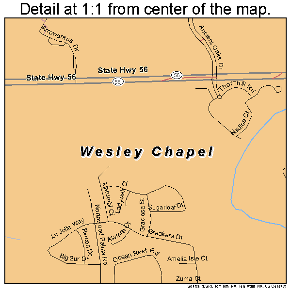 Wesley Chapel, Florida road map detail