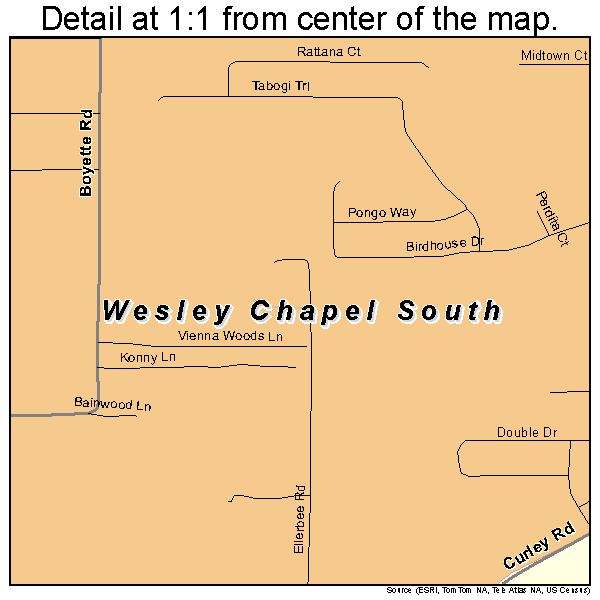 Wesley Chapel South, Florida road map detail