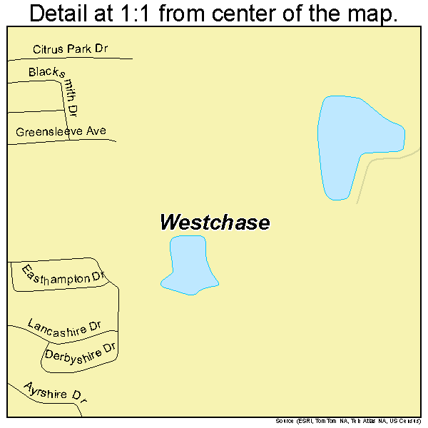 Westchase, Florida road map detail