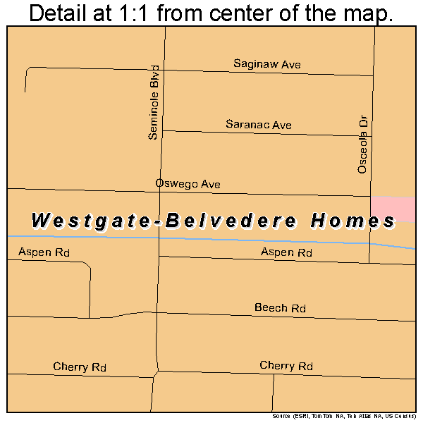Westgate-Belvedere Homes, Florida road map detail