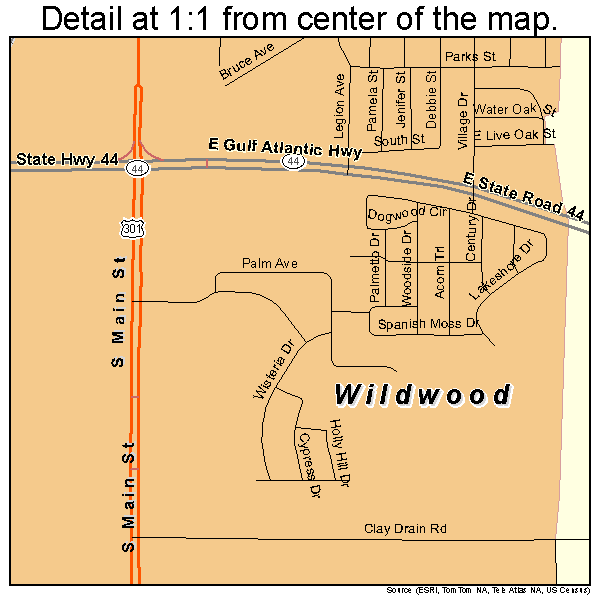 Wildwood, Florida road map detail