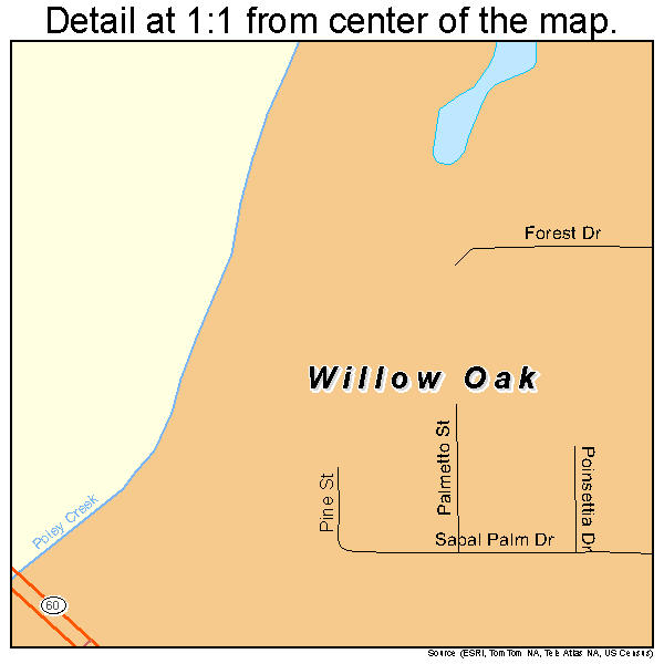 Willow Oak, Florida road map detail
