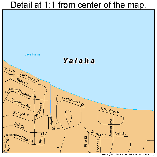 Yalaha, Florida road map detail