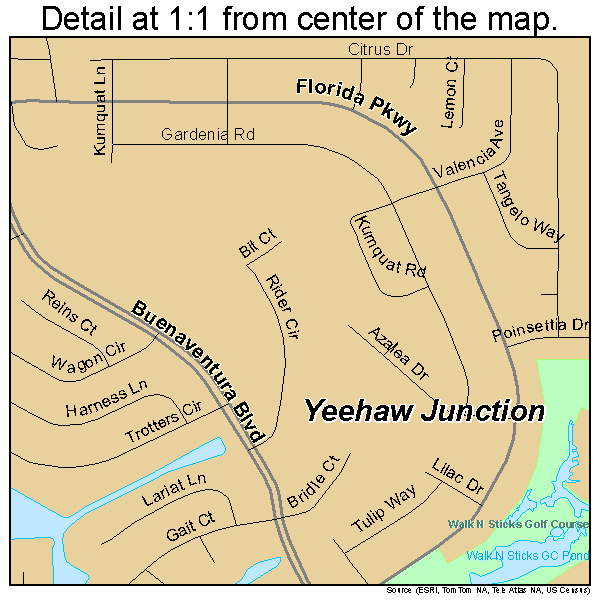 Yeehaw Junction, Florida road map detail