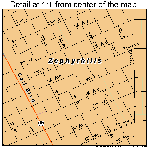 Zephyrhills, Florida road map detail