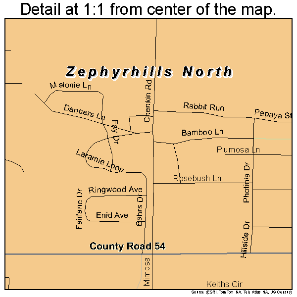 Zephyrhills North, Florida road map detail