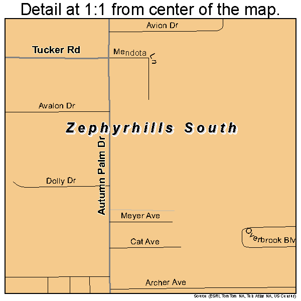 Zephyrhills South, Florida road map detail
