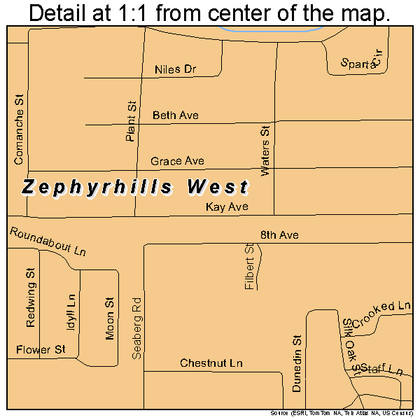 Zephyrhills West, Florida road map detail