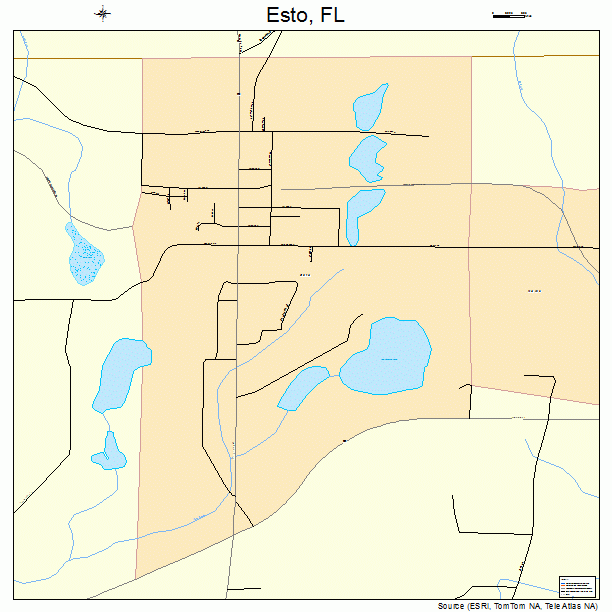 Esto, FL street map