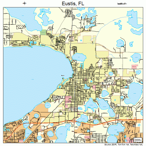 Eustis, FL street map