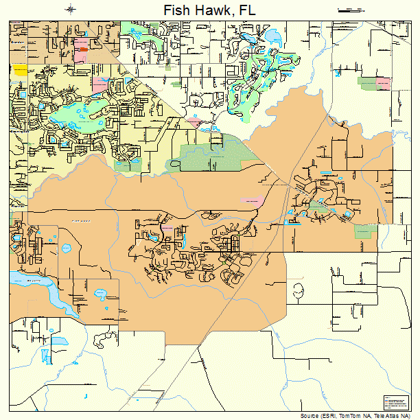 Fish Hawk, FL street map