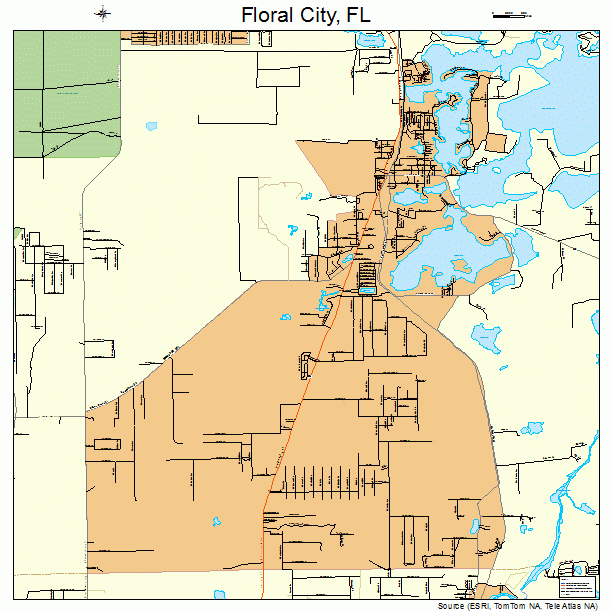 Floral City, FL street map