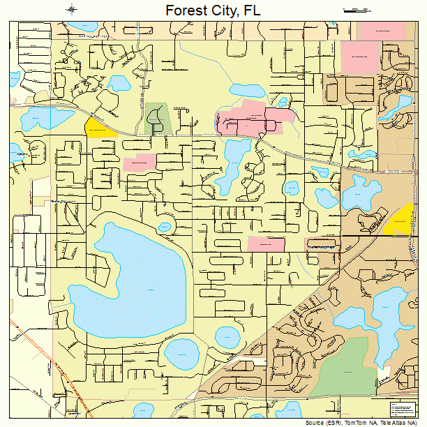 Forest City, FL street map