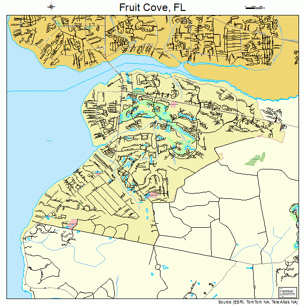 Fruit Cove, FL street map