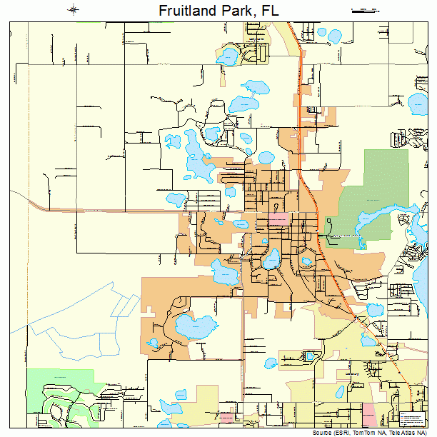 Fruitland Park, FL street map