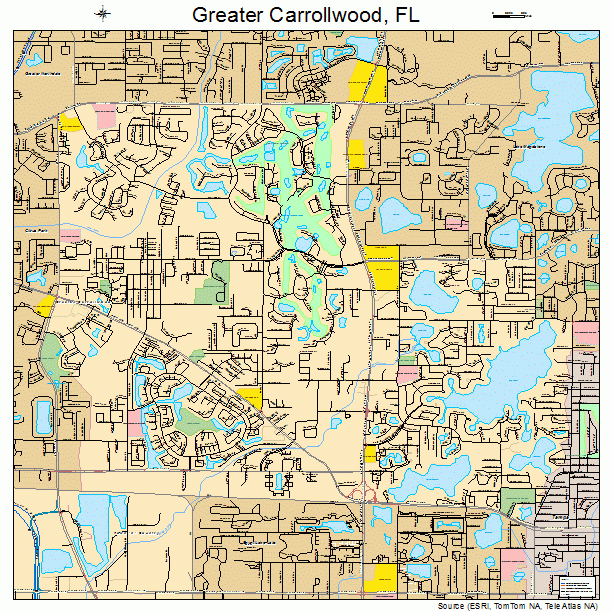 Greater Carrollwood, FL street map