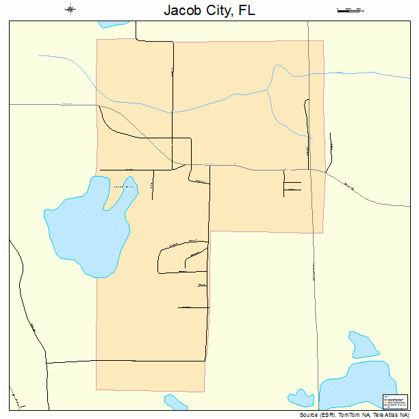 Jacob City, FL street map