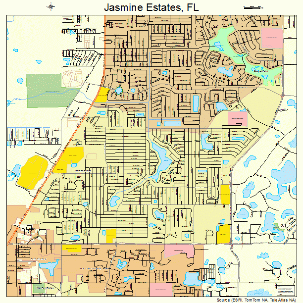 Jasmine Estates, FL street map