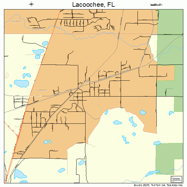 Lacoochee, FL street map