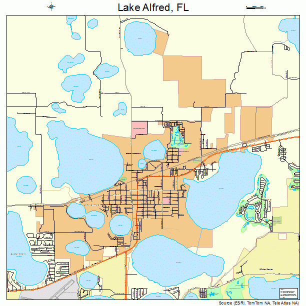Lake Alfred, FL street map
