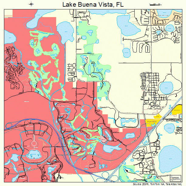 Lake Buena Vista, FL street map