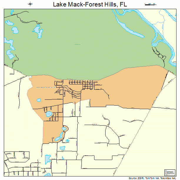 Lake Mack-Forest Hills, FL street map