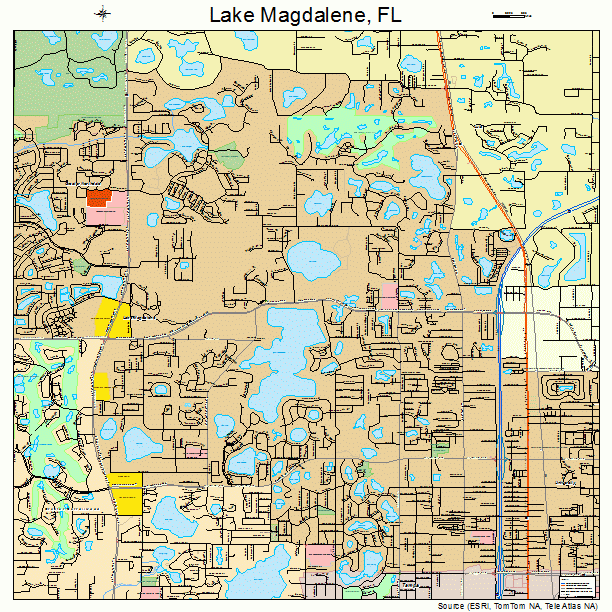 Lake Magdalene, FL street map
