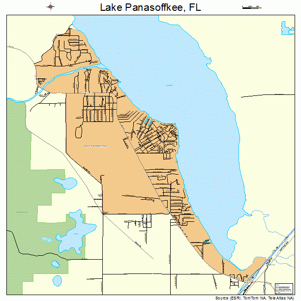 Lake Panasoffkee, FL street map