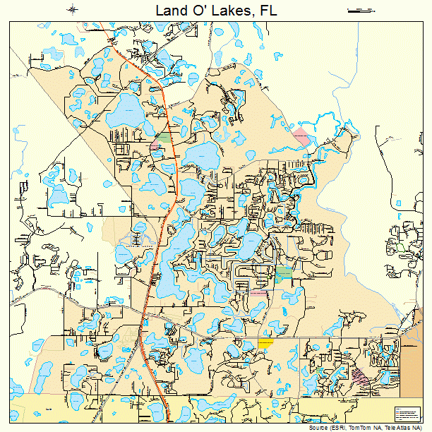 Land O' Lakes, FL street map