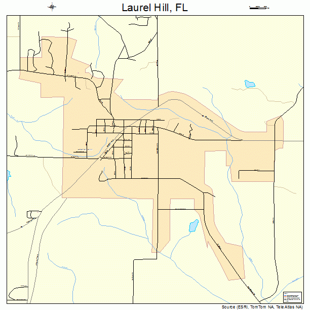 Laurel Hill, FL street map