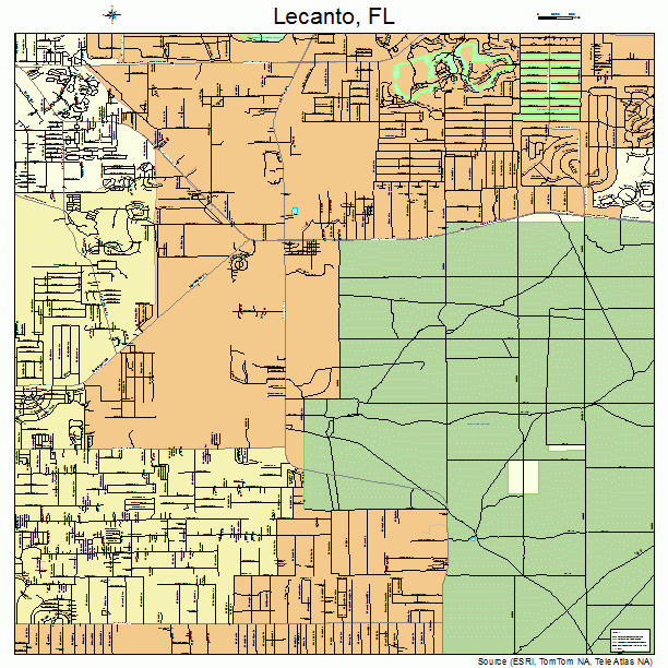 Lecanto, FL street map