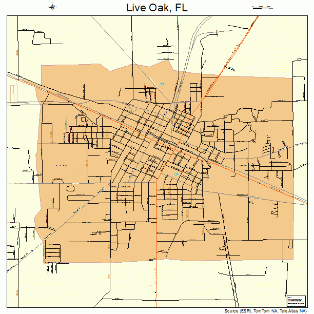 Live Oak, FL street map