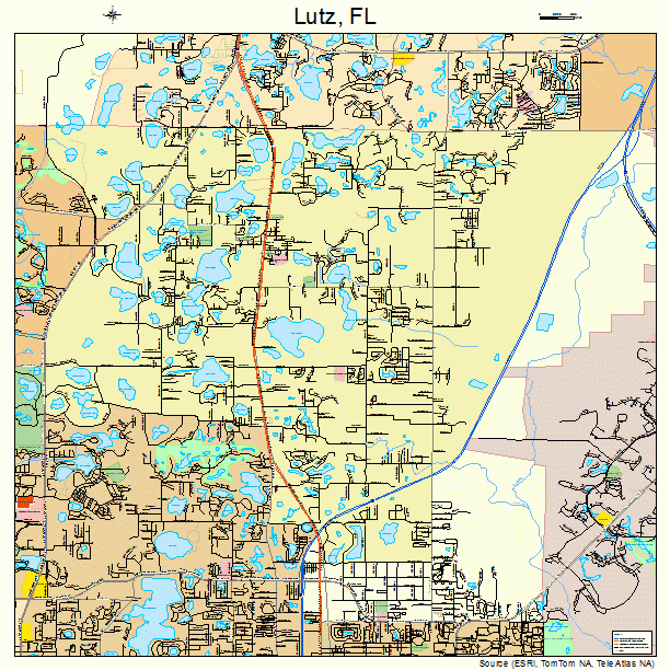 Lutz, FL street map