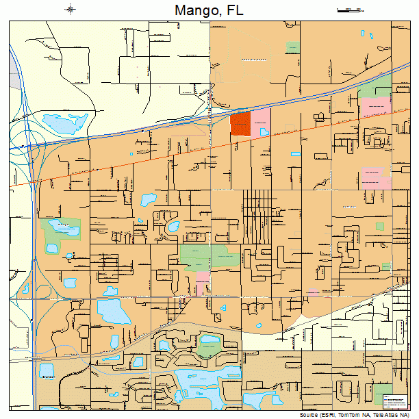 Mango, FL street map