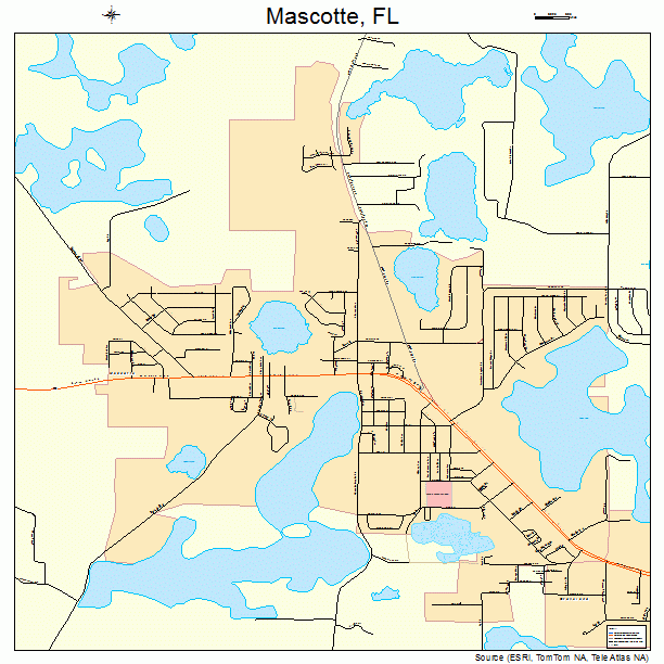 Mascotte, FL street map