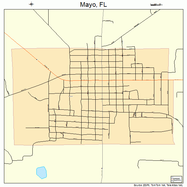 Mayo, FL street map