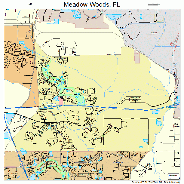 Meadow Woods, FL street map
