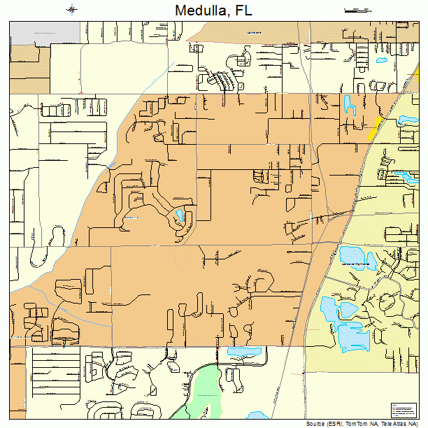 Medulla, FL street map